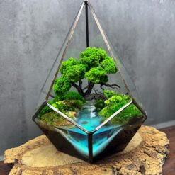 Terrarium with moss