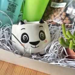 кашпо панда, набор для посадки суккулента, набор посади сам, набор для растений с кашпо панда, керамическое кашпо панда, подарок для любителей растений, комплект для посадки с пандой, мини-кашпо для суккулентов, набор для посадки с инструментами, кашпо в форме панды, декор для дома с растениями, набор для садоводства, комплект для пересадки растений, подарок набор с растением, суккулент в наборе с кашпо панда, кашпо панда, набір для посадки сукуленту, набір посади сам, набір для рослин з кашпо панда, керамічне кашпо панда, подарунок для любителів рослин, комплект для посадки з пандою, міні-кашпо для сукулентів, набір для посадки з інструментами, кашпо у формі панди, декор для дому з рослинами, набір для садівництва, комплект для пересадки рослин, подарунковий набір з рослиною, сукулент у наборі з кашпо панда