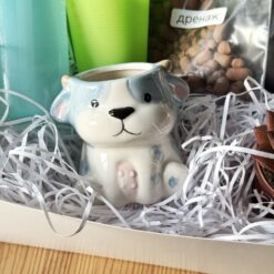 кашпо коровка, набор для посадки суккулента, набор посади сам с кашпо коровка, набор для растений с керамическим кашпо коровка, керамическое кашпо коровка, подарок для любителей растений, комплект для посадки с коровкой, мини-кашпо для суккулентов, набор для посадки с инструментами, кашпо в форме коровки, декор для дома с растениями, набор для садоводства, комплект для пересадки растений, подарок набор с растением, суккулент в наборе с кашпо коровка, кашпо корівка, набір для посадки сукуленту, набір посади сам з кашпо корівка, набір для рослин з керамічним кашпо корівка, керамічне кашпо корівка, подарунок для любителів рослин, комплект для посадки з корівкою, міні-кашпо для сукулентів, набір для посадки з інструментами, кашпо у формі корівки, декор для дому з рослинами, набір для садівництва, комплект для пересадки рослин, подарунковий набір з рослиною, сукулент у наборі з кашпо корівка