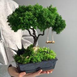 дерево с качелями декор, декоративное дерево в кашпо, стабилизированный мох композиция, миниатюрное дерево с качелями, дерево из мха для интерьера, эко-декор для дома, дерево с качелями 20х30 см, композиция с мхом и деревом, декоративный эко-декор с качелями, украшение с искусственным деревом, декор в кашпо с мхом, дерево для интерьера декор, стабилизированный мох дерево, интерьерное украшение с качелями, мини-сад дерево с качелями, дерево з гойдалкою декор, декоративне дерево в кашпо, стабілізований мох композиція, мініатюрне дерево з гойдалкою, дерево з моху для інтер'єру, еко-декор для дому, дерево з гойдалкою 20х30 см, композиція з мохом та деревом, декоративний еко-декор з гойдалкою, прикраса зі штучним деревом, декор в кашпо з мохом, дерево для інтер'єру декор, стабілізований мох дерево, інтер'єрна прикраса з гойдалкою, міні-сад дерево з гойдалкою