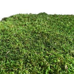 мох плоский стабилизированный, стабилизированный мох для декора, натуральный мох для интерьера, мох для фитостены, декоративный мох 1 кг, мох для панно, мох для вертикального озеленения, мох для флористики, мох для стен, мох для дизайна интерьера, мох для офиса, мох для ресторана, мох для дома, мох для декора стен, мох для фитодизайна, мох плоский стабілізований, стабілізований мох для декору, натуральний мох для інтер'єру, мох для фітостіни, декоративний мох 1 кг, мох для панно, мох для вертикального озеленення, мох для флористики, мох для стін, мох для дизайну інтер'єру, мох для офісу, мох для ресторану, мох для дому, мох для декору стін, мох для фітодизайну