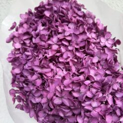 стабилизированная гортензия фиолетовая на стебле, гортензия для декора фиолетовая 60 см, стабилизированная гортензия для интерьера на стебле, фиолетовая гортензия на длинном стебле декор, цветы для декора стабилизированная гортензия, стабилизированная гортензия на стебле 60 см, фиолетовая гортензия в упаковке для декора, натуральная стабилизированная гортензия на стебле, гортензия фиолетовая стабилизированная интерьерный декор, стабилизированные цветы гортензия 60 см фиолетовая, гортензия стабилизированная для флористических композиций, цветы для интерьера фиолетовая гортензия, стабілізована гортензія фіолетова на стеблі, гортензія для декору фіолетова 60 см, стабілізована гортензія для інтер'єру на стеблі, фіолетова гортензія на довгому стеблі декор, квіти для декору стабілізована гортензія, стабілізована гортензія на стеблі 60 см, фіолетова гортензія в упаковці для декору, натуральна стабілізована гортензія на стеблі, гортензія фіолетова стабілізована інтер'єрний декор, стабілізовані квіти гортензія 60 см фіолетова, гортензія стабілізована для флористичних композицій, квіти для інтер'єру фіолетова гортензія