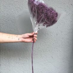 стабилизированная гортензия фиолетовая на стебле, гортензия для декора фиолетовая 60 см, стабилизированная гортензия для интерьера на стебле, фиолетовая гортензия на длинном стебле декор, цветы для декора стабилизированная гортензия, стабилизированная гортензия на стебле 60 см, фиолетовая гортензия в упаковке для декора, натуральная стабилизированная гортензия на стебле, гортензия фиолетовая стабилизированная интерьерный декор, стабилизированные цветы гортензия 60 см фиолетовая, гортензия стабилизированная для флористических композиций, цветы для интерьера фиолетовая гортензия, стабілізована гортензія фіолетова на стеблі, гортензія для декору фіолетова 60 см, стабілізована гортензія для інтер'єру на стеблі, фіолетова гортензія на довгому стеблі декор, квіти для декору стабілізована гортензія, стабілізована гортензія на стеблі 60 см, фіолетова гортензія в упаковці для декору, натуральна стабілізована гортензія на стеблі, гортензія фіолетова стабілізована інтер'єрний декор, стабілізовані квіти гортензія 60 см фіолетова, гортензія стабілізована для флористичних композицій, квіти для інтер'єру фіолетова гортензія