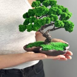 декоративное дерево с мхом, дерево в керамической чаше, стабилизированный мох для декора, дерево в волнистой форме, дерево для декора интерьера, декоративное дерево 25х25 см, дерево декор для дома, дерево декор для офиса, интерьерное дерево с мхом, декоративное дерево с мхом 25 см, стабилизированный мох в декоре, дерево в керамической плошке, декоративне дерево з мохом, дерево у керамічній чаші, стабілізований мох для декору, дерево у хвилястій формі, дерево для декору інтер'єру, декоративне дерево 25х25 см, дерево декор для дому, дерево декор для офісу, інтер'єрне дерево з мохом, декоративне дерево з мохом 25 см, стабілізований мох у декорі, дерево у керамічній плошці