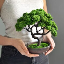 дерево амарант в плошке, декоративное дерево для дома, стабилизированное дерево амарант, декоративное дерево с керамической плошкой, миниатюрное дерево амарант, интерьерное дерево стабилизированное, дерево амарант овальная плошка, дерево стабилизированное амарант 20х20 см, дерево из стабилизированного мха, амарант стабилизированное дерево декор, дерево амарант в овальной плошке, дерево стабилизированное в керамике, дерево амарант у плошці, декоративне дерево для дому, стабілізоване дерево амарант, декоративне дерево з керамічною плошкою, мініатюрне дерево амарант, інтер’єрне дерево стабілізоване, дерево амарант овальна плошка, дерево стабілізоване амарант 20х20 см, дерево зі стабілізованого моху, амарант стабілізоване дерево декор, дерево амарант у овальній плошці, дерево стабілізоване в кераміці