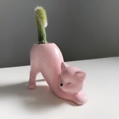 вазон элегантная кошка розовый, декоративный вазон элегантная кошка, вазон кошка для растений, вазон для дома элегантная кошка, вазон розового цвета кошка, креативный вазон для интерьера, декоративный вазон для растений, оригинальный вазон кошка, красивый вазон для дома, вазон для цветов кошка, стильный вазон кошка, вазон элегантная кошка для суккулентов, декоративный вазон для интерьера, вазон в виде кота для кактуса, вазон хвост обезьяны, вазон кот с кактусом хвост обезьяны, вазон елегантна киця рожевий, декоративний вазон елегантна киця, вазон киця для рослин, вазон для дому елегантна киця, вазон рожевого кольору киця, креативний вазон для інтер'єру, декоративний вазон для рослин, оригінальний вазон киця, гарний вазон для дому, вазон для квітів киця, стильний вазон киця, вазон елегантна киця для сукулентів, декоративний вазон для інтер'єру, вазон у вигляді кота для кактуса, вазон хвіст мавпи, вазон кіт з кактусом хвіст мавпи