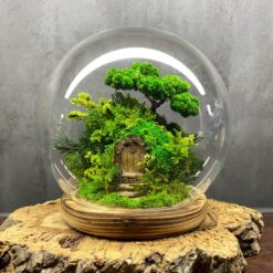 моссариум дверь в лес, моссариум с подсветкой, сказочный моссариум с дверью, интерьерный моссариум с мхом, моссариум с домиком и подсветкой, декоративный моссариум, стеклянный моссариум с деревьями, лесной моссариум с подсветкой, моссариум в стеклянной колбе, мини-сад в моссариуме, моссариум D18 см с подсветкой, моссариум для интерьера,
мосаріум двері у ліс, мосаріум з підсвіткою, казковий мосаріум з дверцятком, інтер’єрний мосаріум з мохом, мосаріум з будиночком та підсвіткою, декоративний мосаріум, скляний мосаріум з деревами, лісовий мосаріум з підсвіткою, мосаріум у скляній колбі, міні-сад у мосаріумі, мосаріум D18 см з підсвіткою, мосаріум для інтер’єру