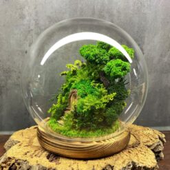 моссариум дверь в лес, моссариум с подсветкой, сказочный моссариум с дверью, интерьерный моссариум с мхом, моссариум с домиком и подсветкой, декоративный моссариум, стеклянный моссариум с деревьями, лесной моссариум с подсветкой, моссариум в стеклянной колбе, мини-сад в моссариуме, моссариум D18 см с подсветкой, моссариум для интерьера,
мосаріум двері у ліс, мосаріум з підсвіткою, казковий мосаріум з дверцятком, інтер’єрний мосаріум з мохом, мосаріум з будиночком та підсвіткою, декоративний мосаріум, скляний мосаріум з деревами, лісовий мосаріум з підсвіткою, мосаріум у скляній колбі, міні-сад у мосаріумі, мосаріум D18 см з підсвіткою, мосаріум для інтер’єру