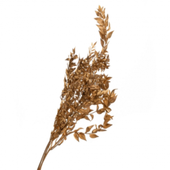 рускус золотой стабилизированный, стабилизированный рускус золото 8213-026, золотой сухоцвет рускус, стабилизированный рускус для декора, золотой рускус для интерьера, стабилизированные цветы рускус золото, рускус золотой для композиций, рускус золотой сухоцвет для декора, золотой стабилизированный рускус для флористики, декор из рускуса золотого цвета, рускус стабилизированный для букетов, стабилизированный рускус для интерьера, рускус золото стабілізований, стабілізований рускус золото 8213-026, золотий сухоцвіт рускус, стабілізований рускус для декору, золотий рускус для інтер'єру, стабілізовані квіти рускус золото, рускус золотий для композицій, рускус золотий сухоцвіт для декору, золотий стабілізований рускус для флористики, декор з рускуса золотого кольору, рускус стабілізований для букетів, стабілізований рускус для інтер'єру