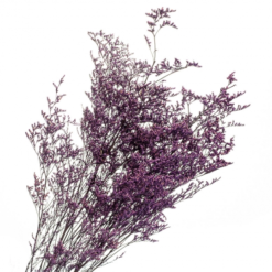 декоративная ветвь фиолет стабилизированная, стабилизированная ветвь фиолет 8213-009, фиолетовая стабилизированная ветвь, ветвь стабилизированная для декора, фиолетовые сухоцветы для интерьера, стабилизированные цветы для декора, фиолетовая ветвь для флористики, декоративные ветки для композиции, ветвь фиолетовая для декора, стабилизированные ветви фиолетовые, ветка стабилизированная для интерьера, ветвь для декора фиолет, декоративна гілка фіолет стабілізована, стабілізована гілка фіолет 8213-009, фіолетова стабілізована гілка, гілка стабілізована для декору, фіолетові сухоцвіти для інтер'єру, стабілізовані квіти для декору, фіолетова гілка для флористики, декоративні гілки для композиції, гілка фіолетова для декору, стабілізовані гілки фіолетові, гілка стабілізована для інтер'єру, гілка для декору фіолет
