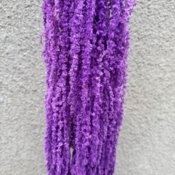 стабилизированный амарант фиолетовый, декоративный амарант для декора, амарант стабилизированный для композиций, фиолетовый амарант для букетов, стабилизированные растения для интерьера, амарант для свадебного декора, амарант фиолетовый стабилизация, яркий декоративный материал амарант, амарант для фотозоны, стабилизированный амарант для интерьера, амарант стабилизированный купить, фиолетовый амарант для украшений, стабілізований амарант фіолетовий, декоративний амарант для декору, амарант стабілізований для композицій, фіолетовий амарант для букетів, стабілізовані рослини для інтер'єру, амарант для весільного декору, амарант фіолетовий стабілізація, яскравий декоративний матеріал амарант, амарант для фотозони, стабілізований амарант для інтер'єру, амарант стабілізований купити, фіолетовий амарант для прикрас