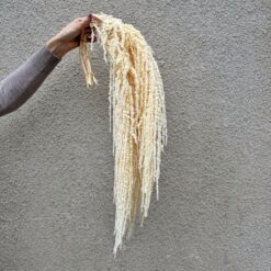 стабилизированный амарант белый, декоративный амарант для декора, амарант стабилизированный для композиций, белый амарант для букетов, стабилизированные растения для интерьера, амарант для свадебного декора, амарант белый стабилизация, яркий декоративный материал амарант, амарант для фотозоны, стабилизированный амарант для интерьера, амарант стабилизированный купить, белый амарант для украшений, стабілізований амарант білий, декоративний амарант для декору, амарант стабілізований для композицій, білий амарант для букетів, стабілізовані рослини для інтер'єру, амарант для весільного декору, амарант білий стабілізація, яскравий декоративний матеріал амарант, амарант для фотозони, стабілізований амарант для інтер'єру, амарант стабілізований купити, білий амарант для прикрас