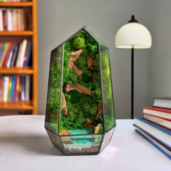 моссариум Кристалл с водоемом, мини-террариум с мхом, стеклянный моссариум 25х13 см, композиция с мхом и водоемом, декоративный моссариум в стекле, интерьерный моссариум минимализм, живой моссариум с водой, настольный моссариум для офиса, уникальный подарок моссариум, экодекор с мхом, флорариум с водоемом, композиция с живым мхом,мосаріум Кристал з водоймою, міні-тераріум з мохом, скляний мосаріум 25х13 см, композиція з мохом та водоймою, декоративний мосаріум у склі, інтер'єрний мосаріум мінімалізм, живий мосаріум з водою, настільний мосаріум для офісу, унікальний подарунок мосаріум, екодекор з мохом, флораріум з водоймою, композиція з живим мохом