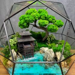 моссариум Япония 30х30 см, флорариум японский сад 30 см, декоративный моссариум с храмом 30 см, интерьерный моссариум восточный стиль 30 см, стеклянный флорариум с водой 30х30 см, мини-сад в стекле 30х30 см, моссариум с водоемом 30 см, японский моссариум интерьерный 30х30 см, композиция с мхом и водой 30 см, стильный моссариум восточный дизайн 30 см, моссариум с прозрачной водой 30х30 см, стеклянный моссариум храм и водоем 30 см, мосаріум Японія 30х30 см, флораріум японський сад 30 см, декоративний мосаріум з храмом 30 см, інтер'єрний мосаріум східний стиль 30 см, скляний флораріум з водою 30х30 см, міні-сад у склі 30х30 см, мосаріум з водоймою 30 см, японський мосаріум інтер'єрний 30х30 см, композиція з мохом і водою 30 см, стильний мосаріум східний дизайн 30 см, мосаріум з прозорою водою 30х30 см, скляний мосаріум храм і водойма 30 см