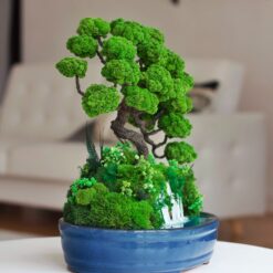 стабилизированное дерево Место силы, стабілізоване дерево Місце сили