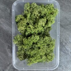 Мох ягель стабілізований Преміум