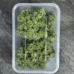 Мох ягель стабілізований Преміум