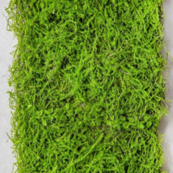 панель искусственная зелень Мох 40х90 см 9226-002, модуль из искусственного мха, напольное покрытие из травы, стена с зеленью для фотозоны, искусственный мох для декора, декоративная стена из зелени, имитация природной травы, зелёная панель для интерьера, искусственная зелень для стен, интерьерное озеленение искусственная трава, модульное покрытие мох, панель штучна зелень Мох 40х90 см 9226-002, модуль зі штучного моху, покриття з трави для підлоги, стіна із зеленню для фотозони, штучний мох для декору, декоративна стіна із зелені, імітація природної трави, зелена панель для інтер’єру, штучна зелень для стін, інтер’єрне озеленення штучна трава, модульне покриття мох, зелена стіна, зеленая стена