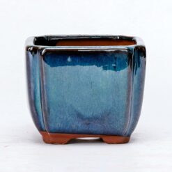 Квадратная бонсайница темно-синяя