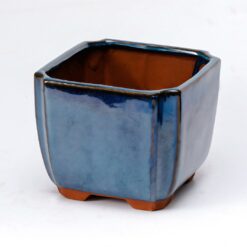 Квадратная бонсайница темно-синяя
