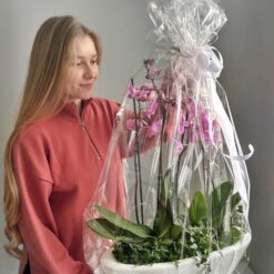 Квіткова композиція з орхідеями Симфонія