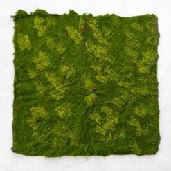 Декоративна панель зі штучного моху