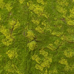 Декоративна панель зі штучного моху