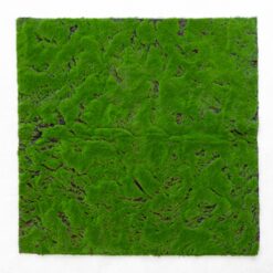 Декоративна панель зі штучного моху