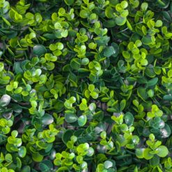 Панель зі штучної зелені Самшит