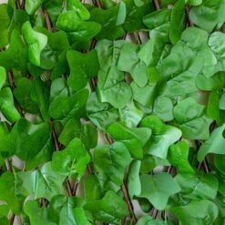 Панель з лози Плющ