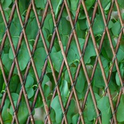 Панель з лози Плющ