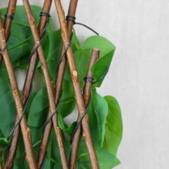 Панель з лози Фікус