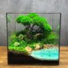 Флораріум Саванна з бонсай без догляду