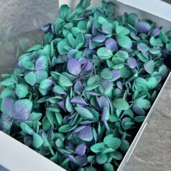 Стабілізована гортензія Premium бірюзова