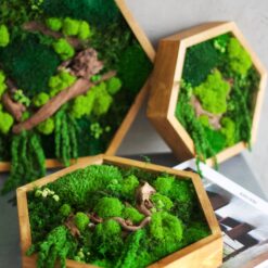 Панно зі стабілізованого моху