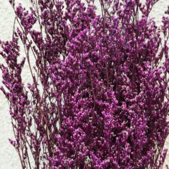 Стабілізований Лимоніум рожевий