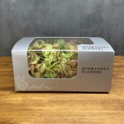 Стабілізована гортензія Premium салатова