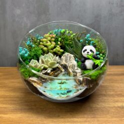 Флораріум з сукулентами та пандою
