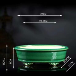 Большая бонсайница Императорский Зеленый