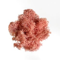 Рожевий мох ягель на вагу