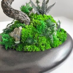 Бонсай зі стабілізованими рослинами на камені