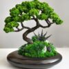 Бонсай зі стабілізованими рослинами на камені