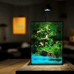 Флораріум зі стабілізованих рослин