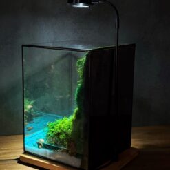 Флораріум зі стабілізованих рослин