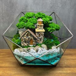 Мосаріум флораріум зі стабілізованого моху