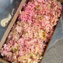 стабілізована гортензія рожево персикова