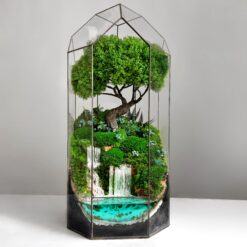 Мосаріум зі стабілізованого моху