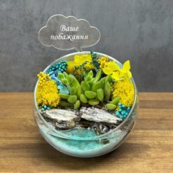 Флораріум із сукулентами та топером Хмаринка