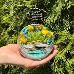 Флораріум із сукулентами та топером Хмаринка