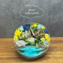 Флораріум із сукулентами та топером Хмаринка